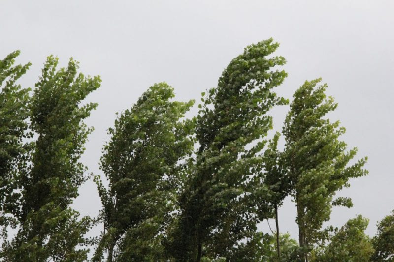 როგორი ამინდია მოსალოდნელი დღეს და ხვალ ქვეყანაში? როგორი ამინდია მოსალოდნელი დღეს და ხვალ ქვეყანაში?