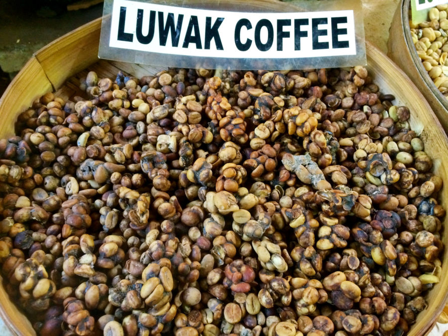 kopi-luwak-coffee-keys-west-e1521829460895-1716712048.jpg