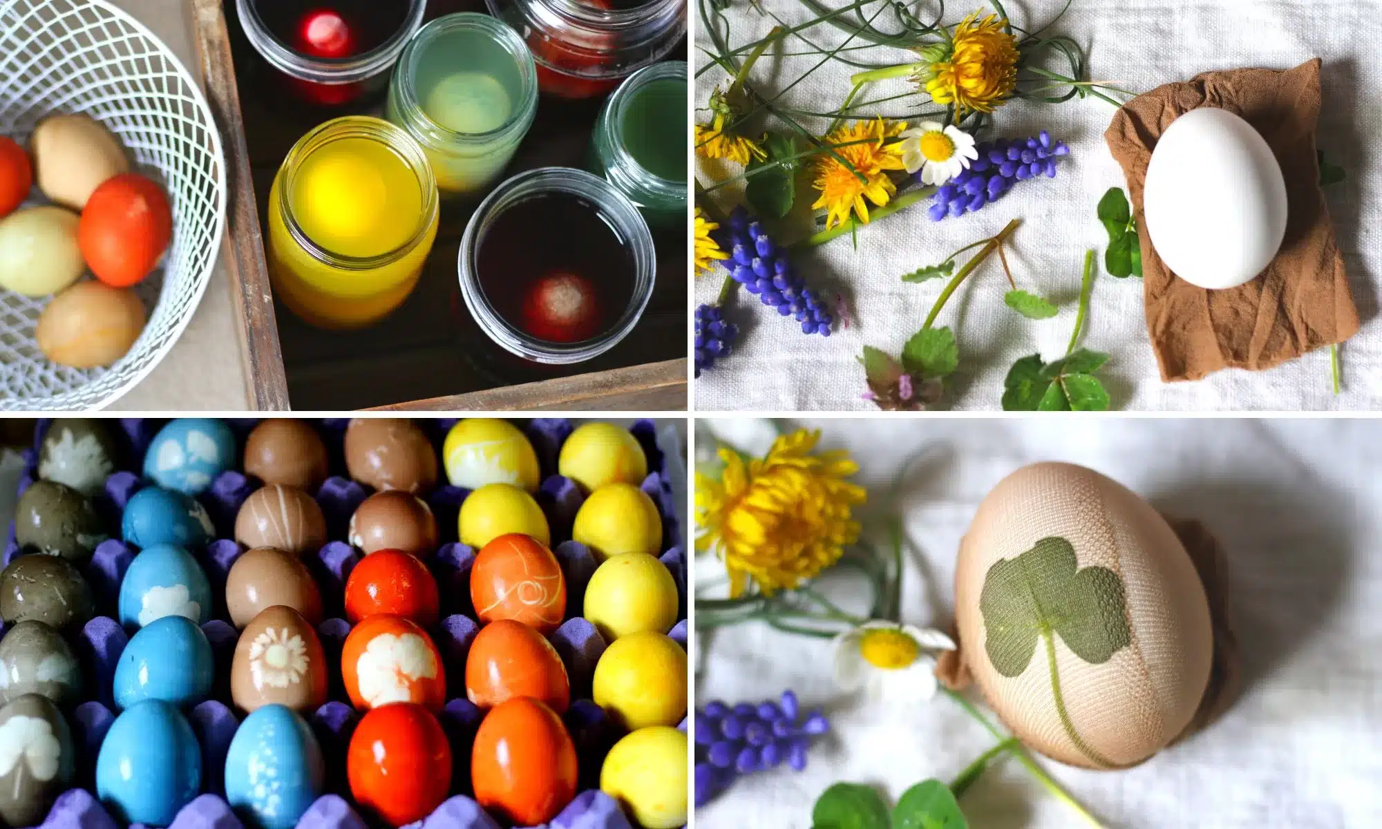 dye-easter-eggs-naturally-featured-2-jpg-1744874958.webp